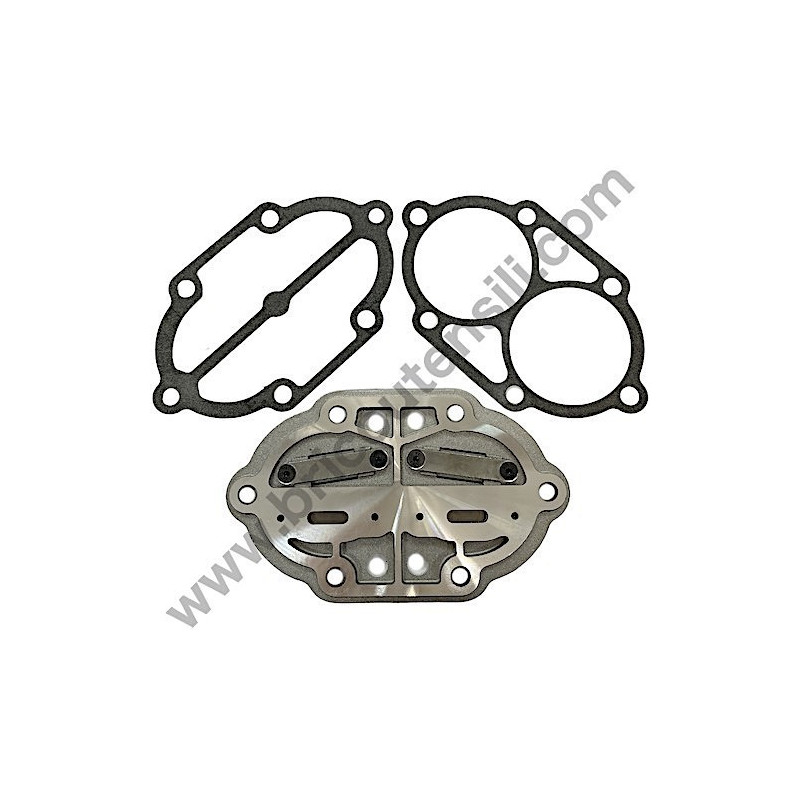 Valves Plate Set for Pump unit FIAC AB248