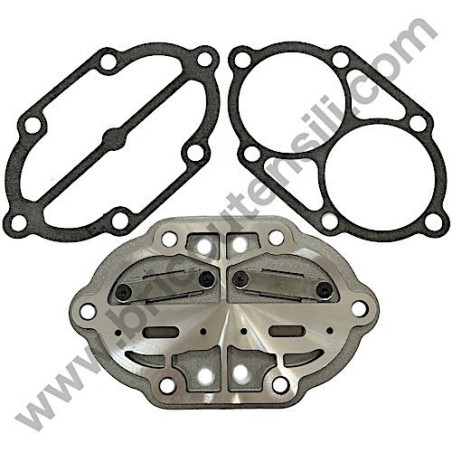 Valves Plate Set for Pump unit FIAC AB248