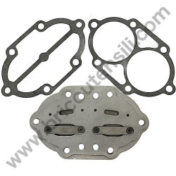 Valves Plate Set for Pump unit FIAC AB248 - 1