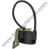 Ignition Coil Ass'y for Chainsaw Alpina P450 - 1