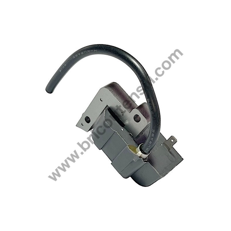 Ricambi Hitachi per Motosega da Potatura Hitachi CS25EC-SC