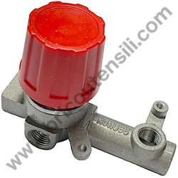 Pistone per Gruppo Pompante Fiac AB 248-338-360