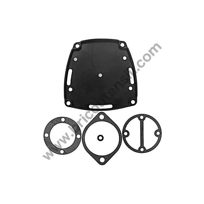 Gasket Kit for Air Compressor ABAC Montecarlo FC2/50 CM 2