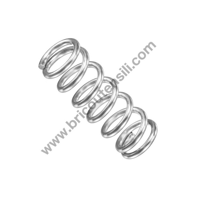 Molla Sfera DE 6,5x1,4x0,5 per Idropulitrici AR Blue Clean