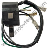 Bobina Accensione per Generatore Yamato G 800 - 2