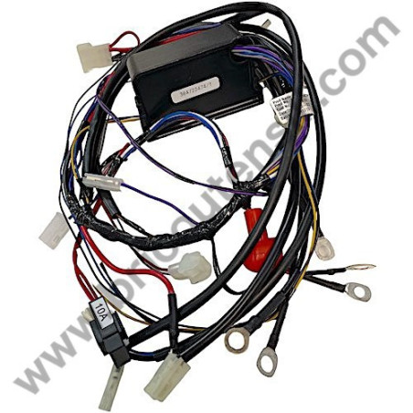 Ricambi Hitachi per Motosega da Potatura Hitachi CS25EC-SC