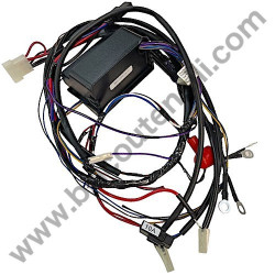 Alpina BT 66 PC Board + Wiring Loom Assembly - 1