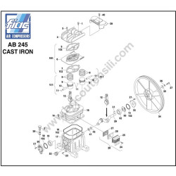 Ricambi Fiac per Gruppo Pompante AB 245 CAST IRON - Esploso