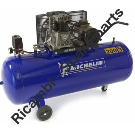 Ricambi Michelin per Compressore MB200/360 400V