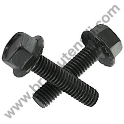 Bullone M6 per Pialla Hitachi P20SF