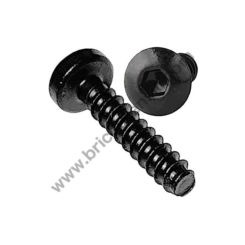 Vite Torx 3,5x16 per Tassellatore GBH 18 V-EC