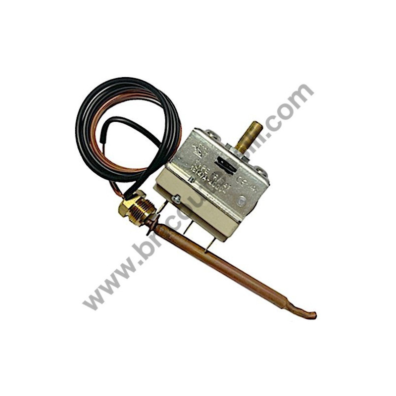 Annovi Reverberi AR 5850 Thermostat