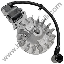 AMA AG1-BL Ignition Coil-Flywheel