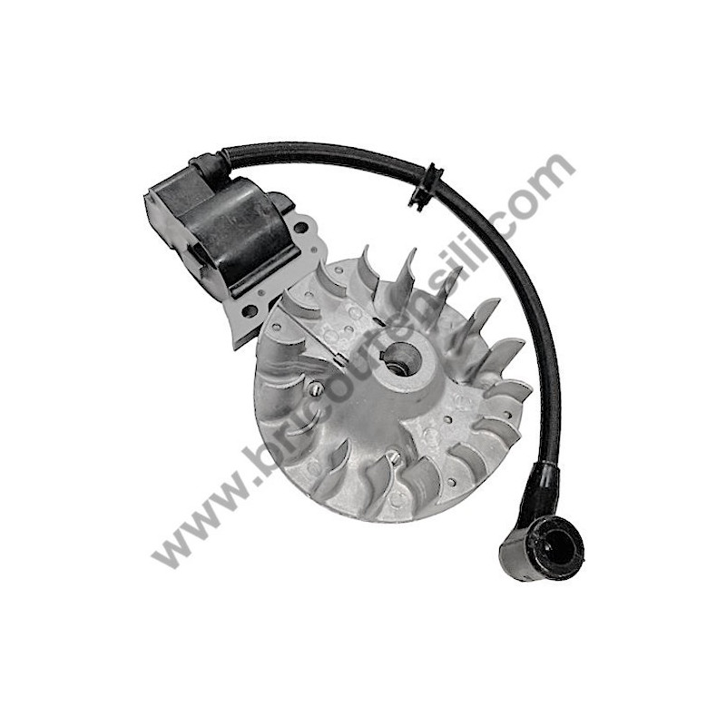 AMA AG1-BL Ignition Coil-Flywheel