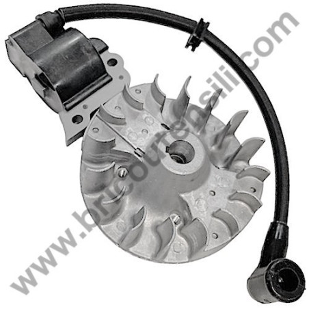 AMA AG1-BL Ignition Coil-Flywheel