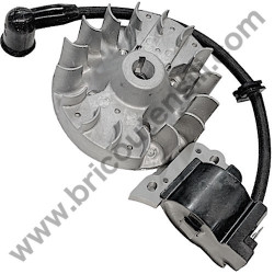 AMA AG1-BL Ignition Coil-Flywheel - 1