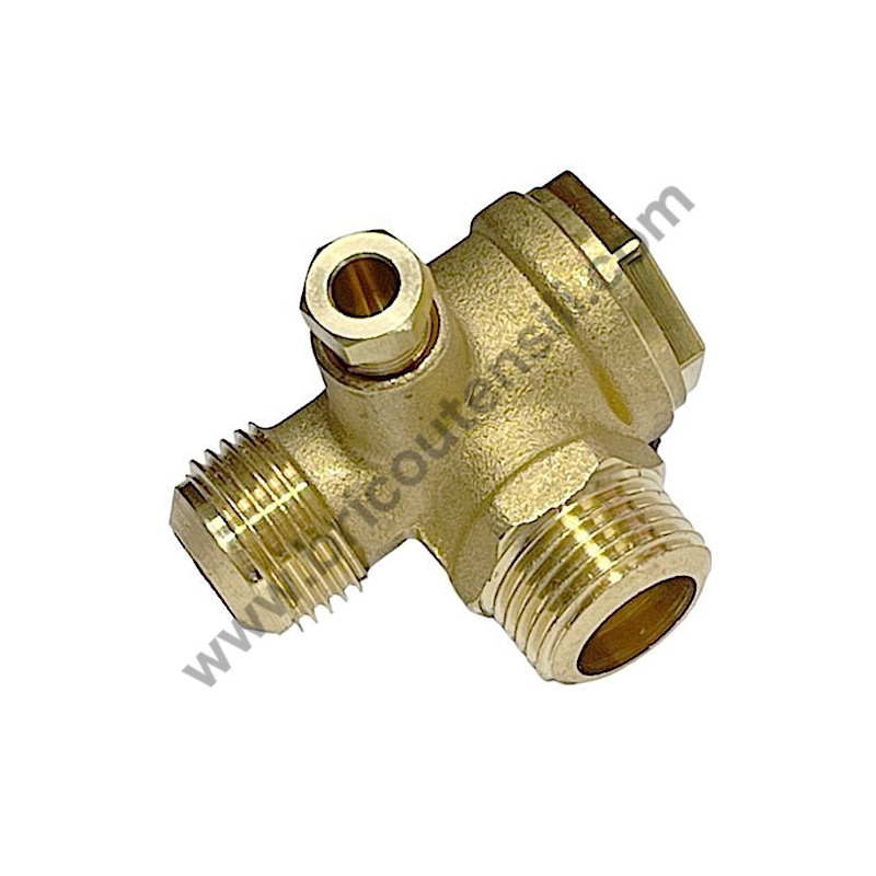 Valvola di Ritenuta per Compressori