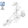 Ricambi Fiac per Motocompressore S1506 - Esploso 1
