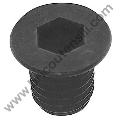 Hex Screw Flat Head M 10x12 for Chopper Skil 0770