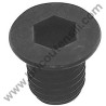 Hex Screw Flat Head M 10x12 for Chopper Skil 0770