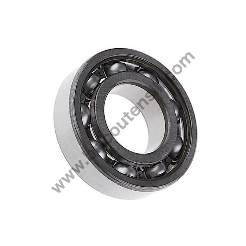 FIAC AB17 Pump Unit Ball Bearing F205