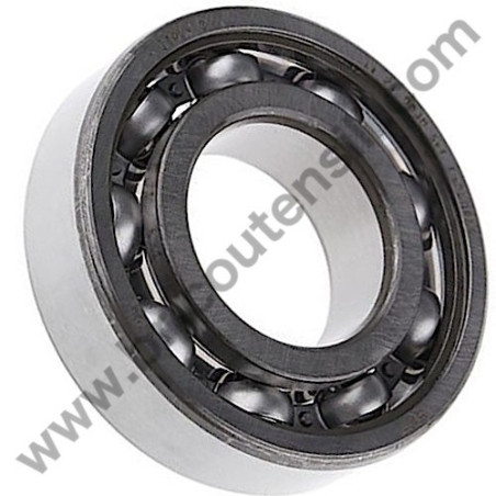 FIAC AB17 Pump Unit Ball Bearing F304