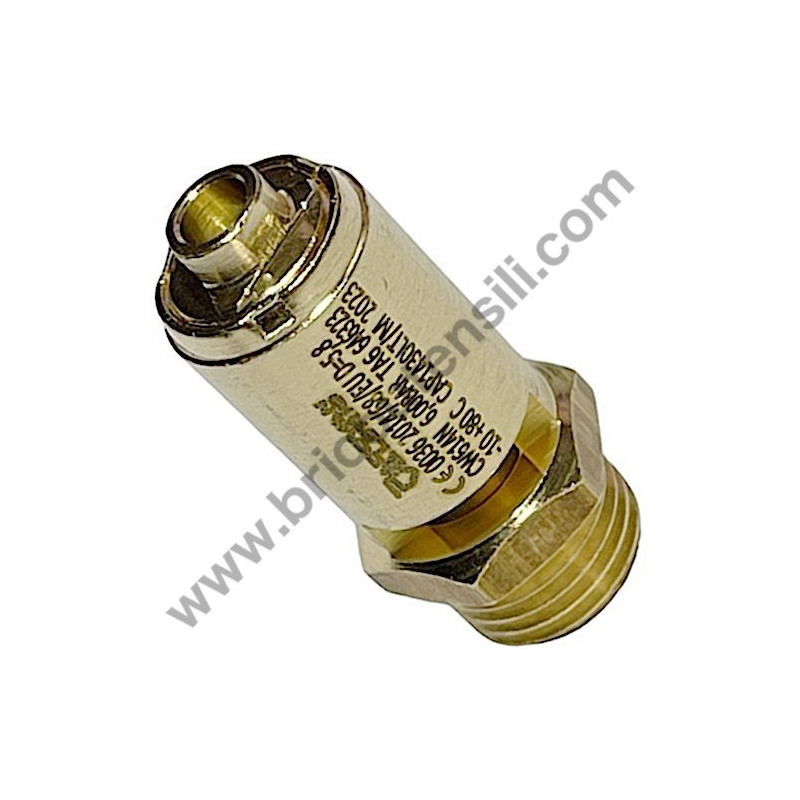 ABAC A49B Safety Valve M1/4-6 Bar