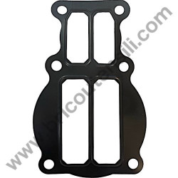 ABAC Pump Unit NS39 Valve Plate Gasket