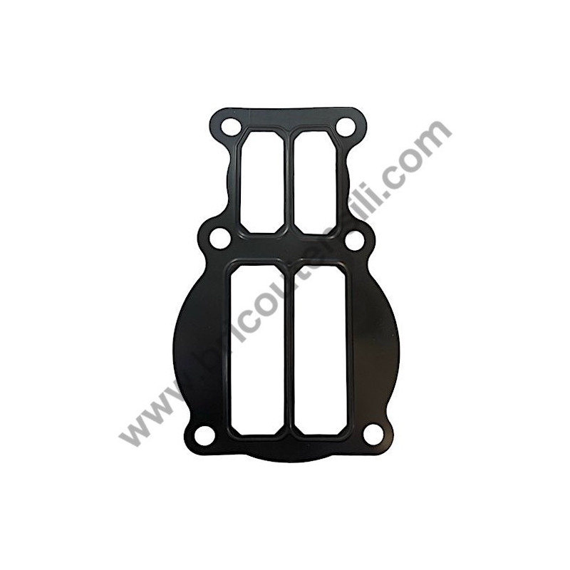 ABAC Pump Unit NS39 Valve Plate Gasket