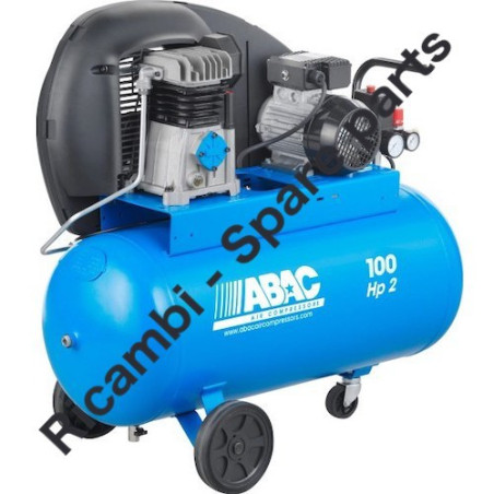 Gruppo Pompante per Compressore a Cinghia A29B BLU