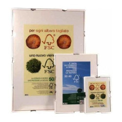 Cornice a Giorno per Quadri