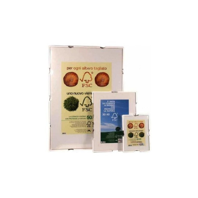 Frames for Paintings