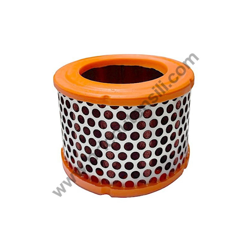 Gruppo Pompante per Compressore a Cinghia A29B BLU