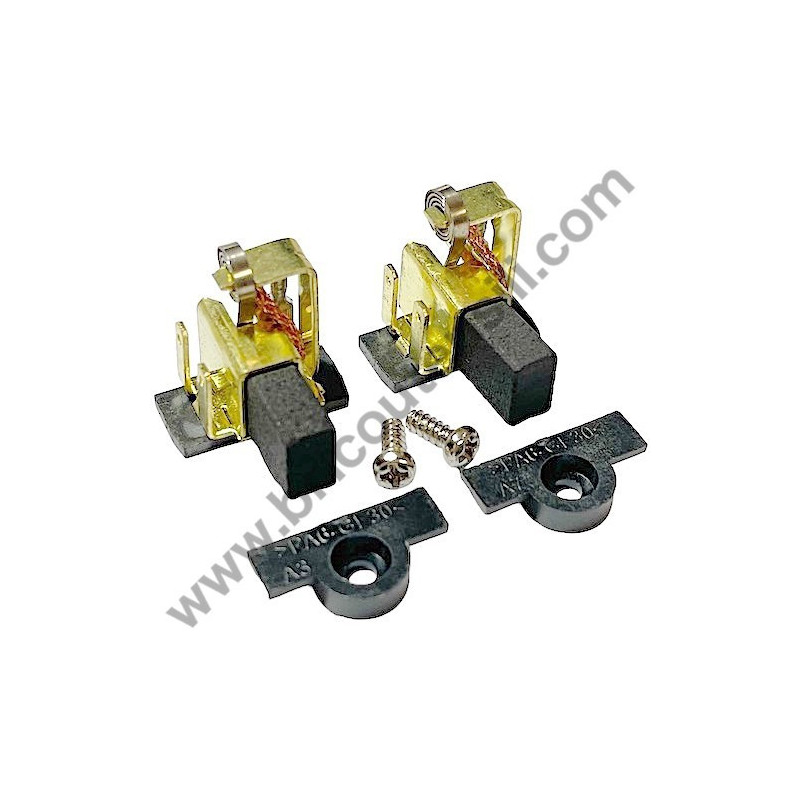 AEG SB2E1100RV Carbon Brush Set