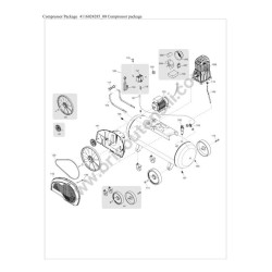 ABAC PRO A39B 270 CM3 E1 Ricambi - Compressor package