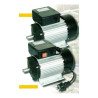 Single Phase Electric Motor
