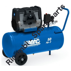 Gruppo Pompante per Compressore a Cinghia A29B BLU