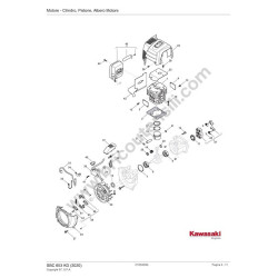 Ricambi Alpina per Motosega A 305