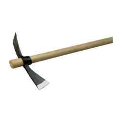 Zappascure tipe Rome