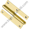 Hinge Poumelles Brass 100/55 Right