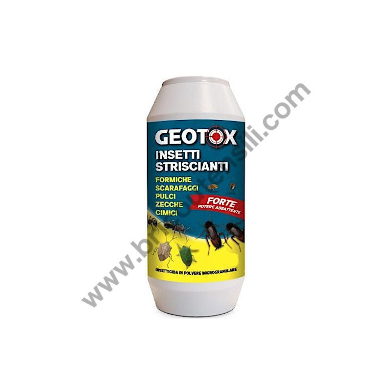 Insetticida in Polvere per Formiche