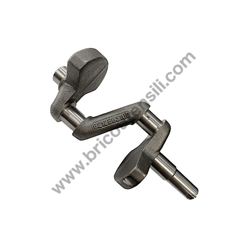 ABAC Pump Unit NS39 Crankshaft