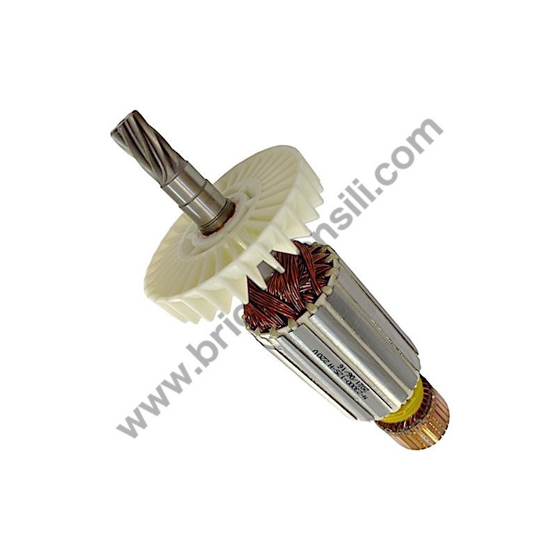 Interruttore 110 V-220 V per Carotatore AGP DM2