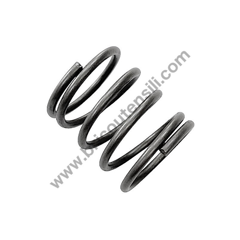 Lavor Molla Richiamo Pistone per FKX 1018