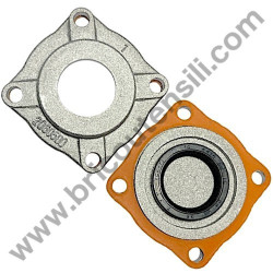 Gruppo Pompante per Compressore a Cinghia A29B BLU