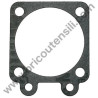 Guarnizione Disco Carburatore per Tosasiepi Tanaka THT 210