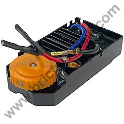 AEG WS13-125SXE Switch Assembly - 1