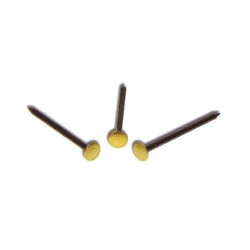 Steel nails brass head