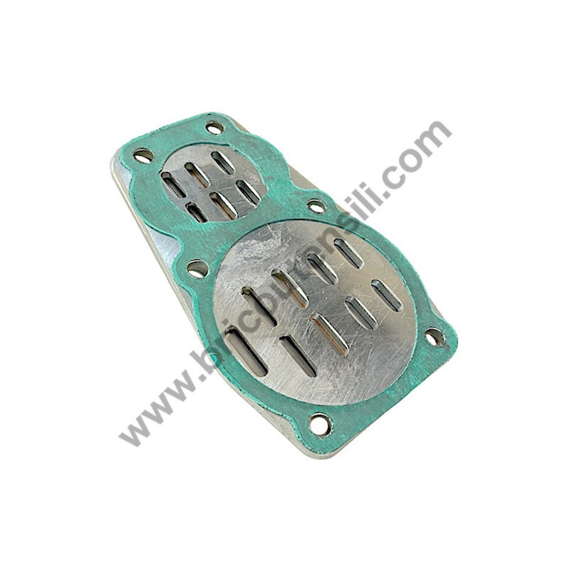 Pistone per Gruppo Pompante Fiac AB 248-338-360