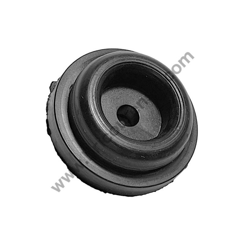 Pistone per Gruppo Pompante Fiac AB 248-338-360